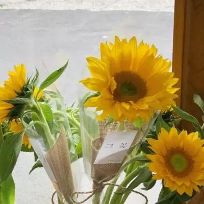 金年会体育APP下载截图